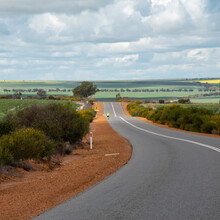 Pippin Hay - Geraldton to Mingenew