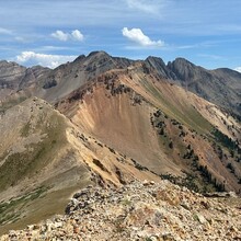 Brent Herring - Madden, Star, Gibbs (CO)