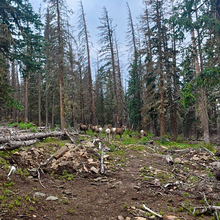Christof Teuscher - Northern New Mexico Loop (NM)