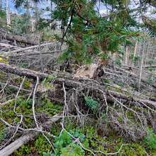 Christof Teuscher - Northern New Mexico Loop (NM)