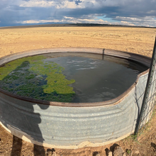 Christof Teuscher - Northern New Mexico Loop (NM)