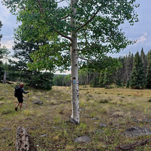 Christof Teuscher - Northern New Mexico Loop (NM)