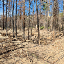 Christof Teuscher - Northern New Mexico Loop (NM)