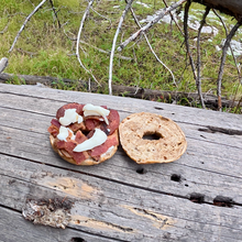 Christof Teuscher - Northern New Mexico Loop (NM)