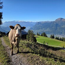 Johanna Gasson, Kirstie Fraser, Lukas Pilgrim - Liechtenstein Panoramaweg (Liechtenstein)