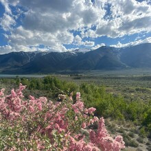 Kelly Henckel - Mono Lake Circumnavigation (CA)