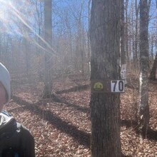 Craig Millikin - Ozark Highlands Trail (AR)