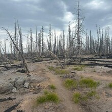 Jessica Pekari - Pacific Crest Trail through OR (OR)