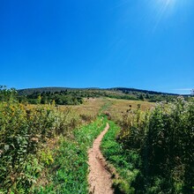 Mikey Deming - Pisgah 400