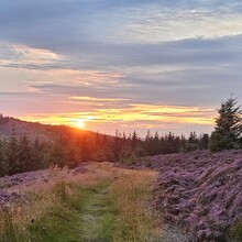 Kristian Dela Cour - Southern Upland Way (United Kingdom)