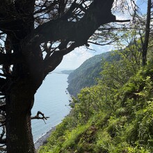 Rémi Poitras - Fundy Trek (NB, Canada)