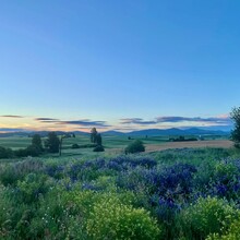 Megan Lacey, Christof Teuscher - Palouse to Cascades State Park Trail (WA)