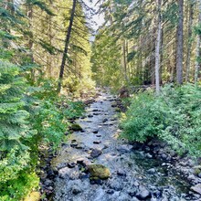 Megan Lacey, Christof Teuscher - Palouse to Cascades State Park Trail (WA)