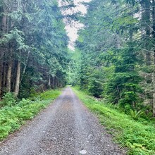 Megan Lacey, Christof Teuscher - Palouse to Cascades State Park Trail (WA)