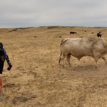 Megan Lacey, Christof Teuscher - Palouse to Cascades State Park Trail (WA)