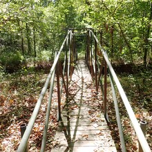 Kelly Burt, Kristy Burt - Burr Oak + Wildcat Hollow Trails (OH)