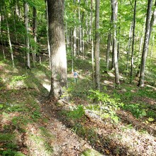 Kelly Burt, Kristy Burt - Burr Oak + Wildcat Hollow Trails (OH)