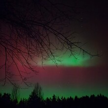 Daniel Podzimek - Pandurensteig
