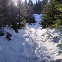 Daniel Podzimek - Pandurensteig