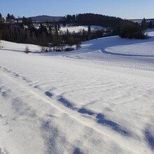 Daniel Podzimek - Pandurensteig