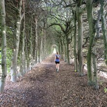 Danique Dinjens, Eef Lamers - Het Heerlijk Pauwelspad (Netherlands)