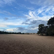 Danique Dinjens, Eef Lamers - Het Heerlijk Pauwelspad (Netherlands)