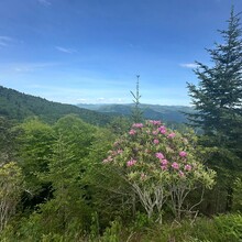 Laura Matacia - Plott Balsam Range Traverse (NC)