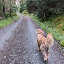 Neil Walker - Rob Roy Way