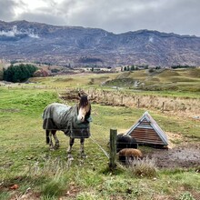 Andi Banez - Otago Gold Rush (New Zealand)