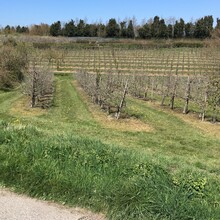 Josh Bradley - Tunbridge Wells Circular (United Kingdom)