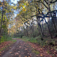 Audrey Lawrence - Snoqualmie Valley Trail (WA)