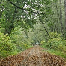 Trisha Steidl - Cascade Trail: Sedro Woolley - Concrete (WA)