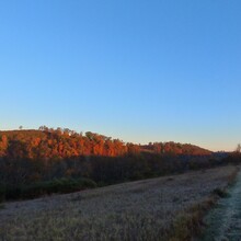 Patrick Durante - The Trexler Double