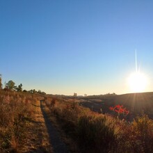 Patrick Durante - The Trexler Double