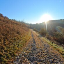 Patrick Durante - The Trexler Double