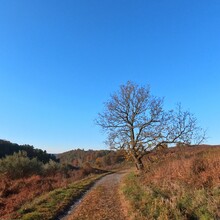Patrick Durante - The Trexler Double
