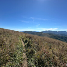 Laura Matacia - Appalachian Trail: Roan Mountain Highlands (TN)