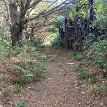Rowan Calvert - Valley Loop Ultra
