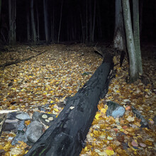 Ben Benvie - Gatineau Park Perimeter Loop (QC, Canada)