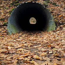 Ben Benvie - Gatineau Park Perimeter Loop (QC, Canada)