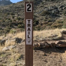 Monica Soileau - Baylor Canyon Pass Trail (NM)