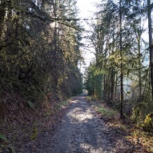 Jasmine Arline McGill - Crown-Zellerbach Trail (OR)