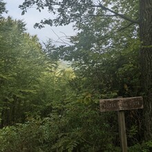 Bob Stewart - Quehanna Trail (PA)