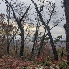 Kim Monge Fera - Wild Oak Trail (VA)