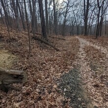 Lee Wang - Ann Arbor Trail Linkup (A2TL) (MI)