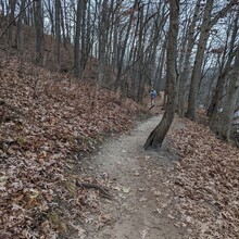 Lee Wang - Ann Arbor Trail Linkup (A2TL) (MI)