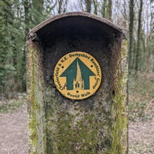 Will Leaning - Chesterfield Round Walk (United Kingdom)