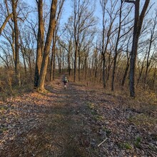 Nathan Broom - Knobstone Trail (IN)