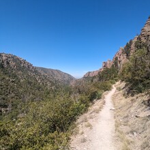 Natasha Proctor, Eric Norling - Chiricahua All Trails  (AZ)