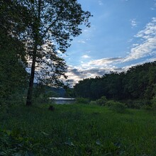 Matthew Hecking - Allegheny National Forest  100 of the NCT (PA)